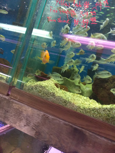 Tropical Fish Store «Keller Farms», reviews and photos, 3405 Denton Hwy, Haltom City, TX 76117, USA