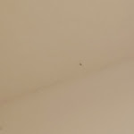 Photo n°3 de l'avis de Francesco.' fait le 12/09/2023 à 21:44 sur le  Barone di Mare Hotel & Resort à San Cataldo