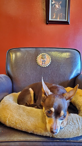 Tobacco Shop «John B Hayes Tobacconist», reviews and photos, 50 E Piccadilly St, Winchester, VA 22601, USA