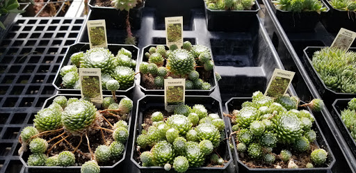 Florist «London Florist», reviews and photos, 196 W Center St, London, OH 43140, USA