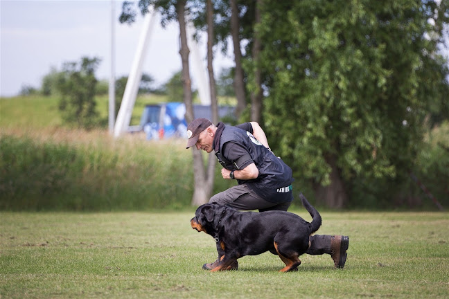 Beoordelingen van Eerste Nederlandse Rottweiler Werkgroep in Rotterdam - Hondentrainer