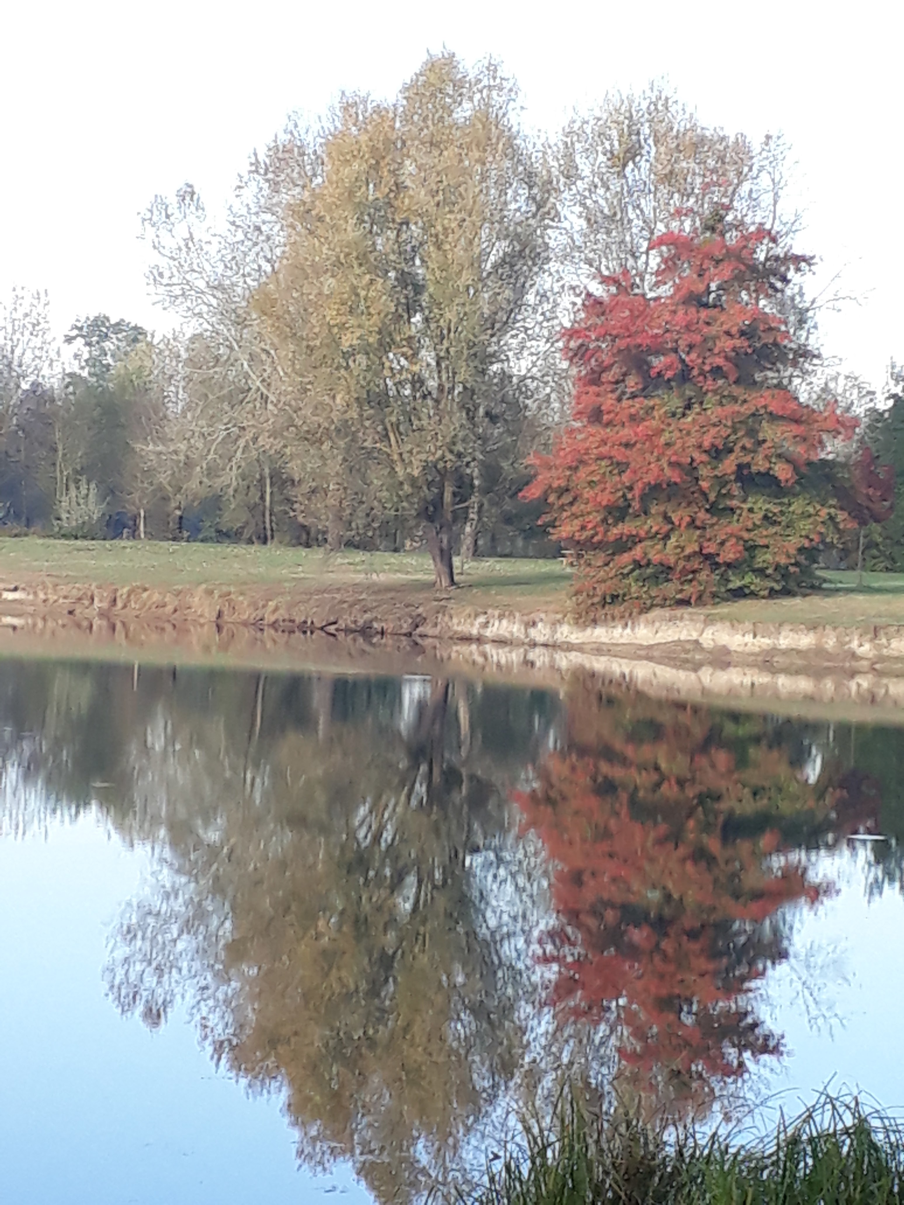 Photo n° 2 de l'avis de Valerie.o fait le 04/11/2018 à 10:01