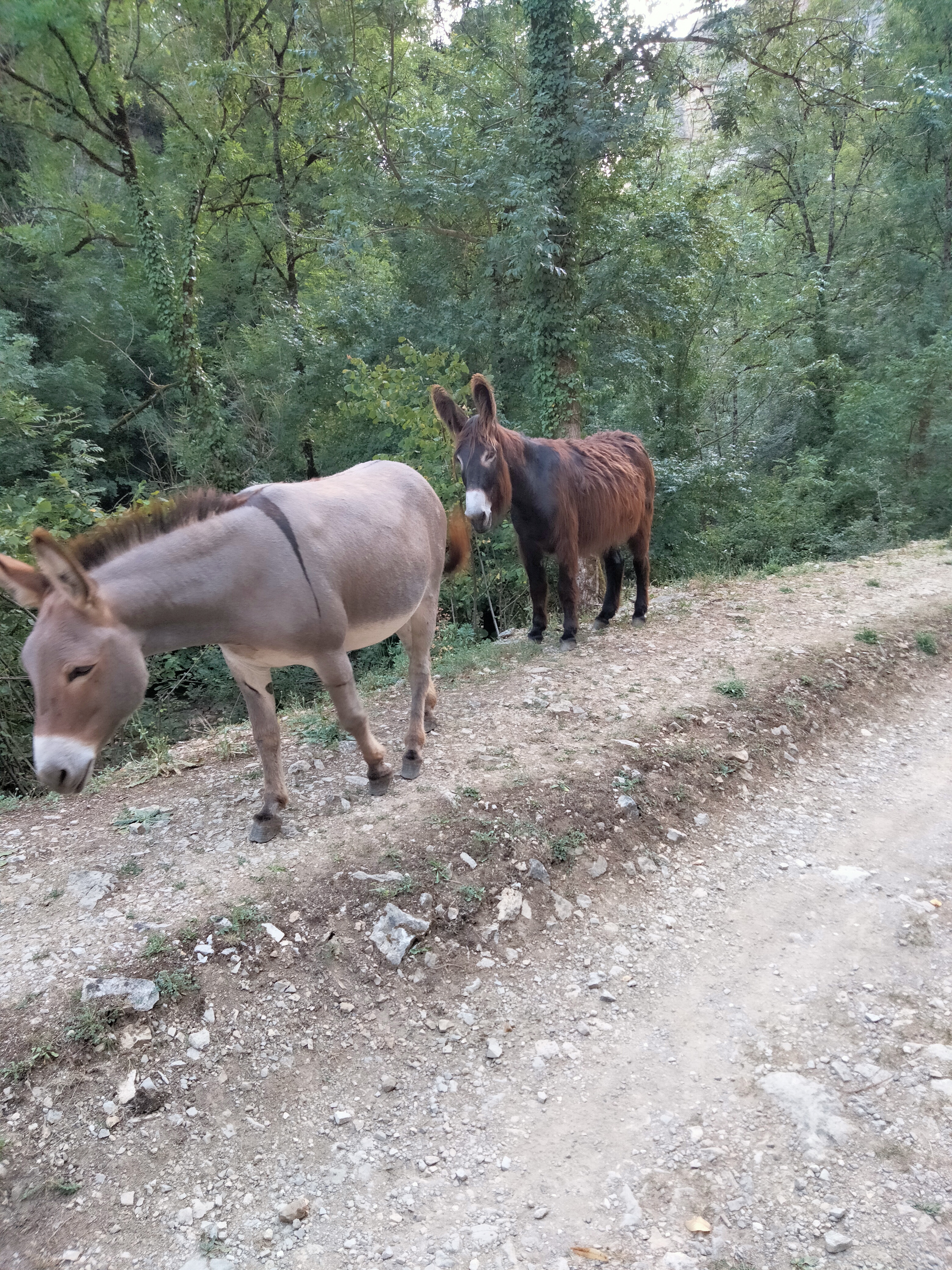Photo n° 6 de l'avis de Clémence. fait le 25/07/2022 à 21:03