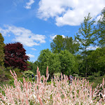 Photo n° 11 de l'avis de M. fait le 19/05/2023 à 07:35 pour Parc Floral d'Apremont-sur-Allier à Apremont-sur-Allier