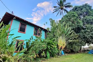 Banana Bungalow Maui Hostel image