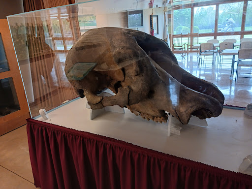 Zoo «Phillips Park Zoo», reviews and photos, 1000 Ray Moses Dr, Aurora, IL 60505, USA