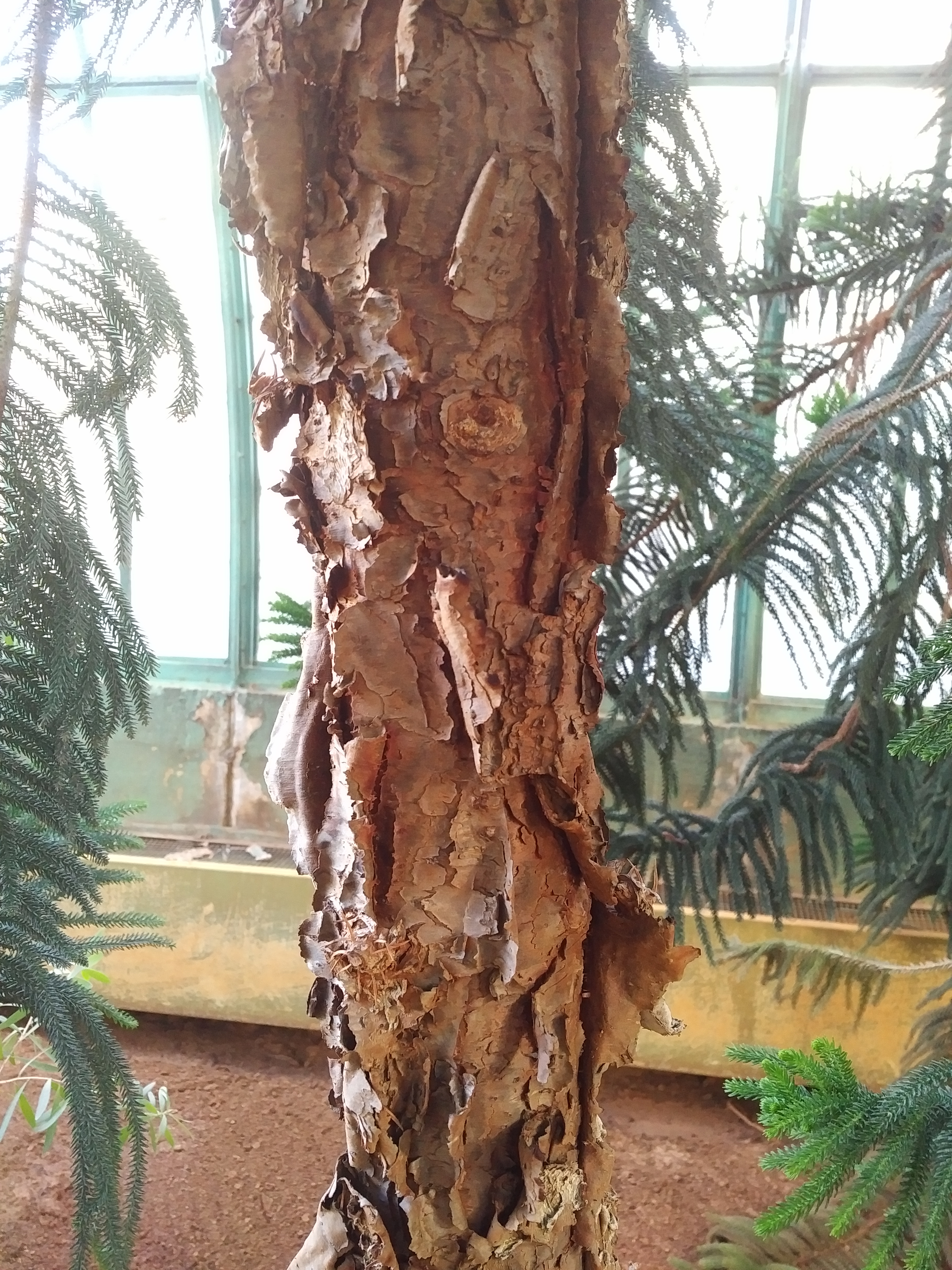 Photo n° 21 de l'avis de Rajaâ. fait le 10/02/2018 à 18:58