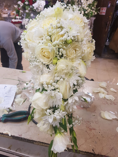 Yafit Flowers