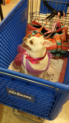 Pet Supply Store «PetSmart», reviews and photos, 3220 W Shaw Ave, Fresno, CA 93711, USA