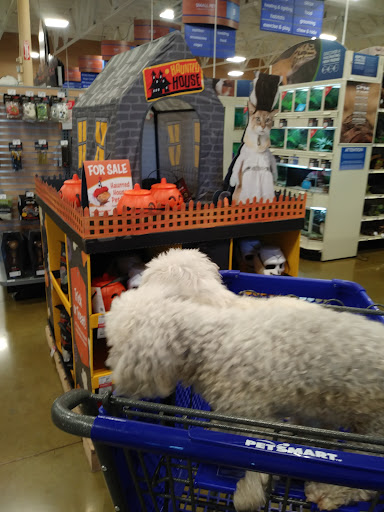 Pet Supply Store «PetSmart», reviews and photos, 2141 N Rose Ave, Oxnard, CA 93036, USA