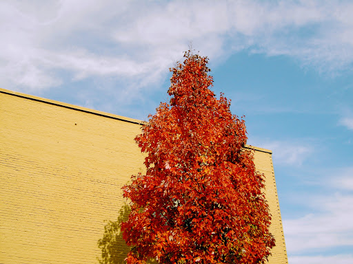 Jeweler «TWIST», reviews and photos, 30 NW 23rd Pl, Portland, OR 97210, USA