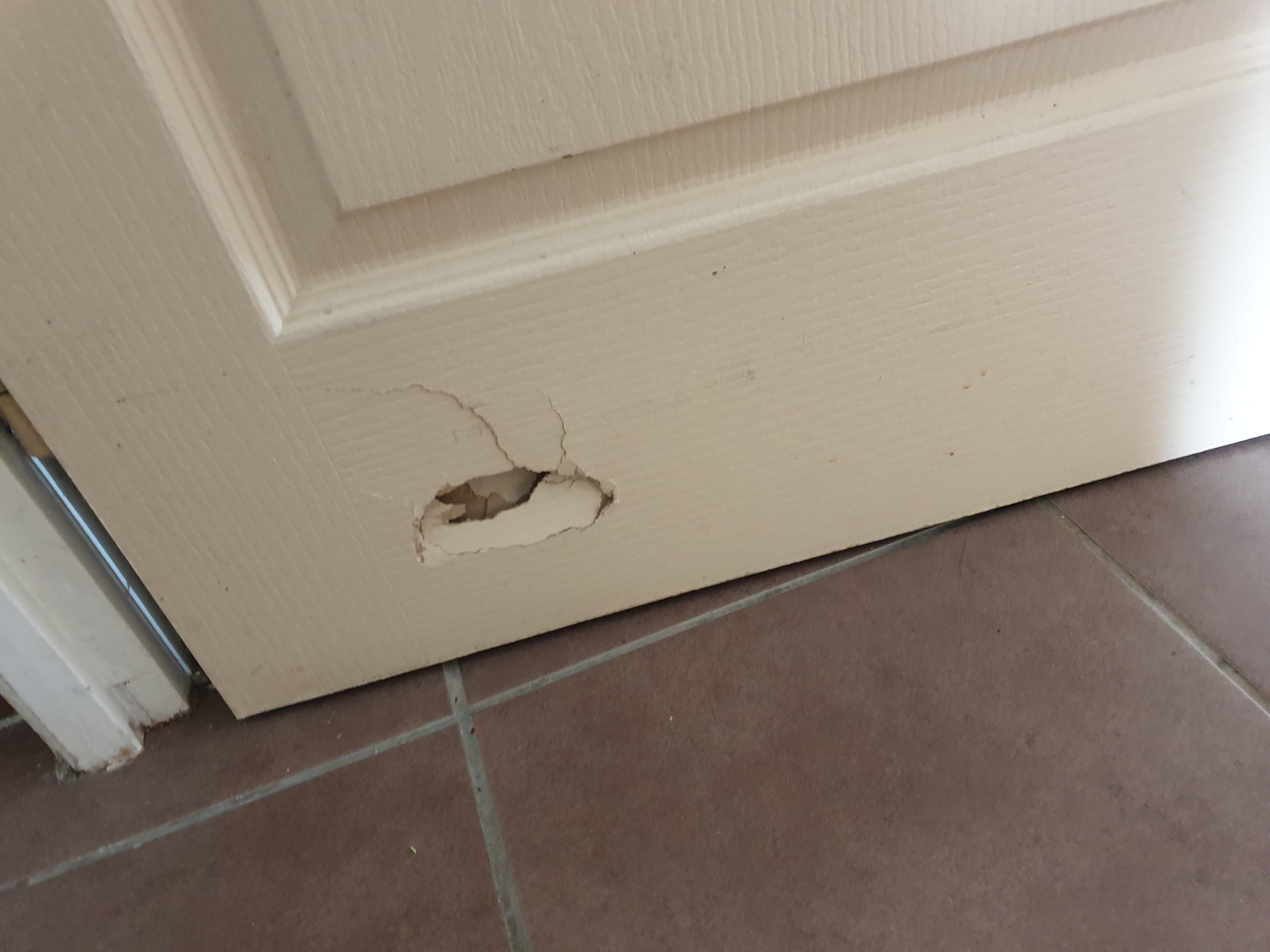 Photo n° 8 de l'avis de Sebastien.a fait le 06/07/2019 à 17:39