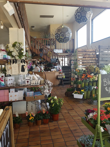 Florist «Cactus Flower Florists», reviews and photos, 10822 N Scottsdale Rd, Scottsdale, AZ 85254, USA