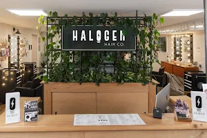 Halogen Hair Co. image