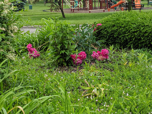 Park «Eastpointe Spindler Park», reviews and photos, 19400 Stephens Rd, Eastpointe, MI 48021, USA