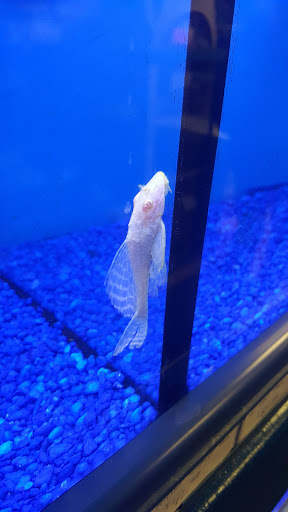 Pet Store «Pet Junction», reviews and photos, 146 NH-108, Dover, NH 03820, USA