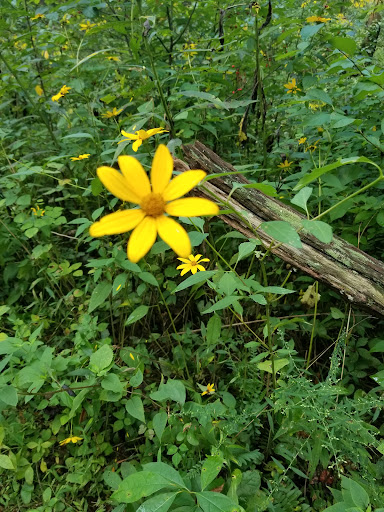 Nature Preserve «Trevlac Bluffs Nature Preserve», reviews and photos, IN-45, Nashville, IN 47448, USA