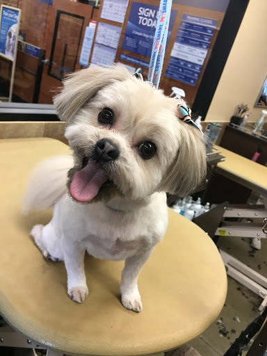 Pet Supply Store «PetSmart», reviews and photos, 476 Corwin Nixon Blvd, South Lebanon, OH 45065, USA