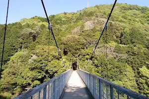 Tenno Suspension Bridge image