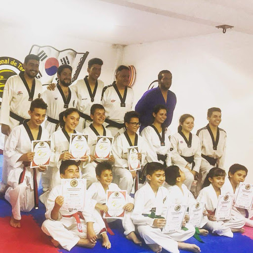 Escuela de taekwondo Morelia