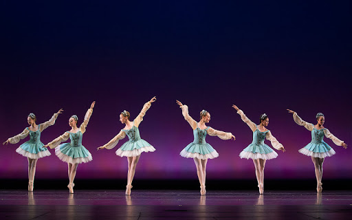 The Louisville Ballet School