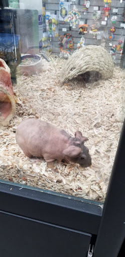 Pet Store «Pet Supermarket, Inc.», reviews and photos, 2446 N University Dr, Coral Springs, FL 33065, USA