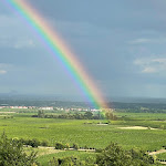 Photo n°1 de l'avis de Jutta.o fait le 28/07/2023 à 09:18 sur le  Alexweinlounge à Herxheim am Berg