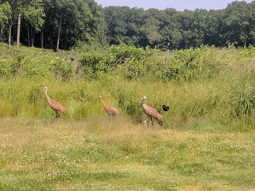 Golf Course «Elbel Golf Course», reviews and photos, 26595 Auten Rd, South Bend, IN 46628, USA