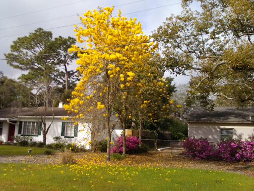 Golf Course «Babe Zaharias Golf Course», reviews and photos, 11412 Forest Hills Dr, Tampa, FL 33612, USA