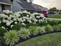 Red Oak Landscaping and Lawn Maintenance, LLC - Photo 7 - Car repair in Morrisville, PA, Trenton