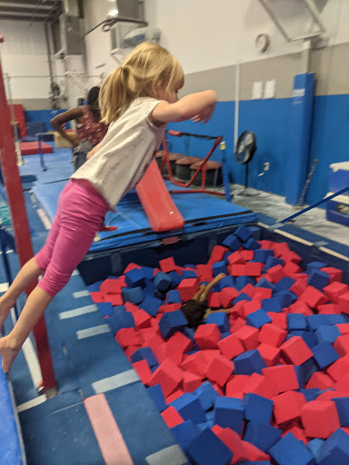 Gymnastics Center «South Florida Gymnastics», reviews and photos, 3241 59th Dr E, Bradenton, FL 34203, USA