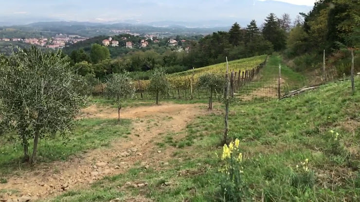 Vidéos Vacances à la ferme Poggi del Chianti Agriturismo Winery 52022 Cavriglia