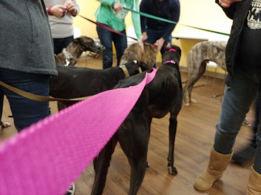 Pet Supply Store «PetPeople», reviews and photos, 3330 Washtenaw Ave, Ann Arbor, MI 48104, USA