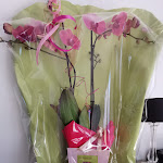 Photo n° 1 de l'avis de Guy.e fait le 07/09/2019 à 10:13 pour Les Jardins Du Lys à Saint-Lys