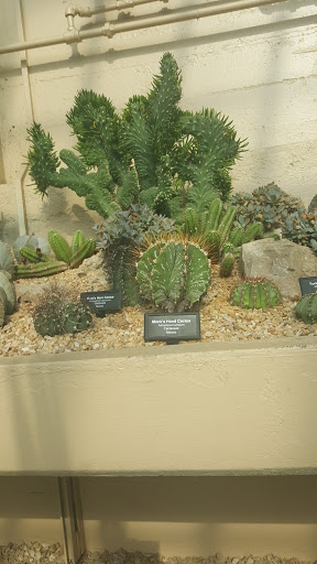 Park «Garfield Park Conservatory», reviews and photos, 300 N Central Park Ave, Chicago, IL 60624, USA