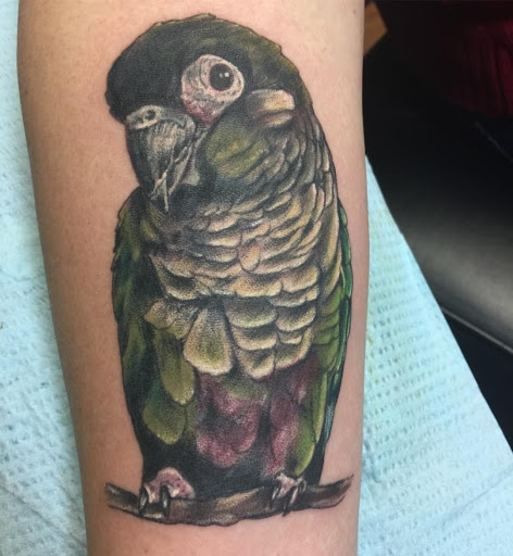 Explore denver tattoo ideas, creative tattoo ideas in Rehoboth Beach, available at Homeward Tattoo and Body Piercing