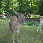 Photo n°3 de l'avis de Heinz.a fait le 29/05/2023 à 18:34 sur le  Kleine Schweiz - Jonas Wiehoff à Velbert