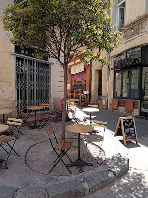 Mosquito Latino à Montpellier