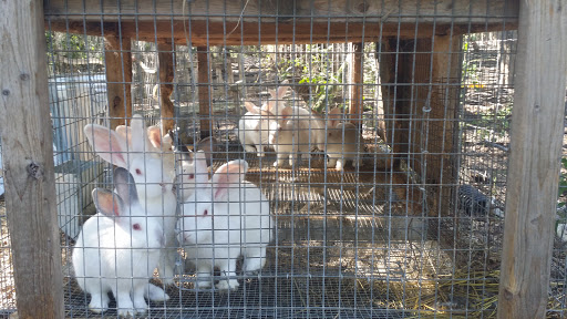 Winery «Willow Creek Winery and Farm», reviews and photos, 160-168 Stevens St, West Cape May, NJ 08204, USA