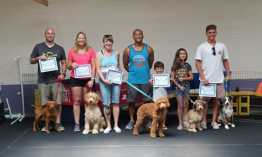 Canine Obedience Training at Hunt Club