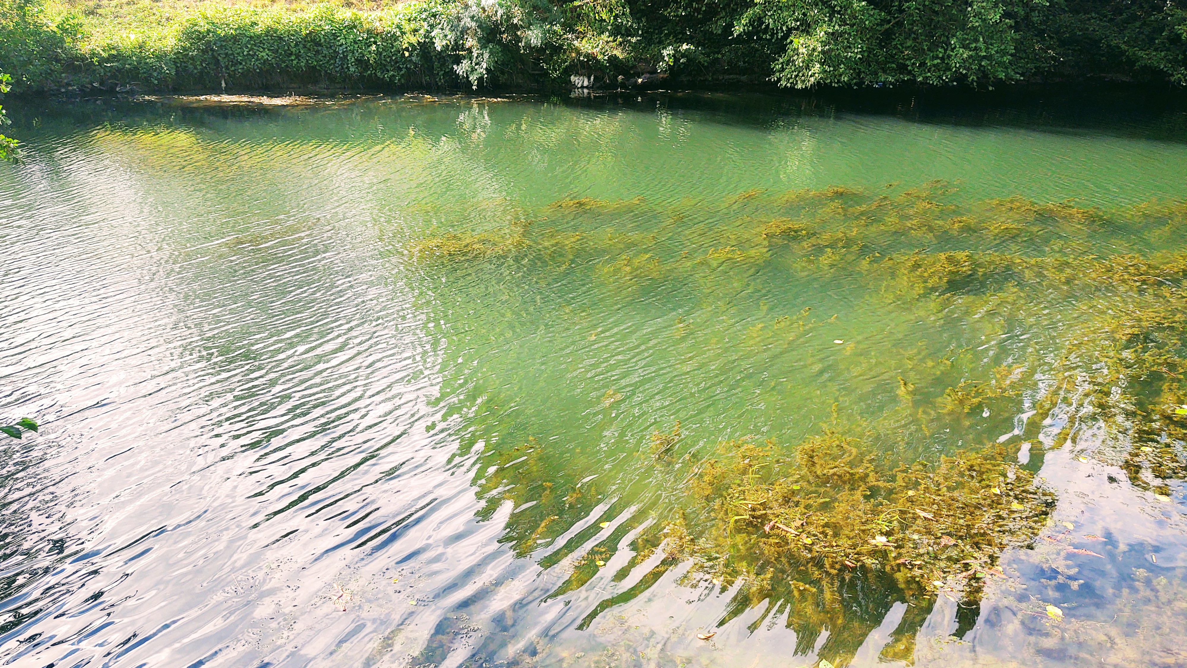 Photo n° 9 de l'avis de Polski.l fait le 02/09/2020 à 14:34