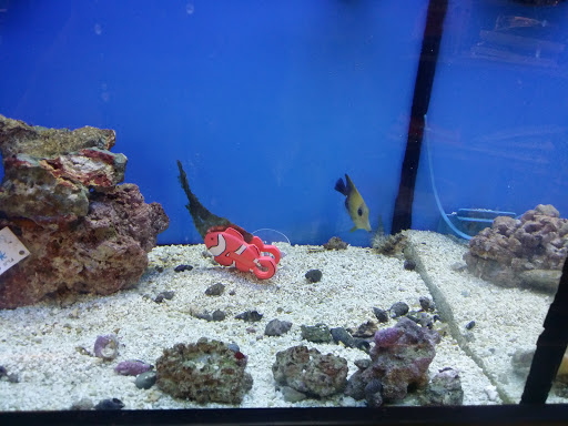 Pet Supply Store «Petco Animal Supplies», reviews and photos, 45205 Worth Ave, California, MD 20619, USA