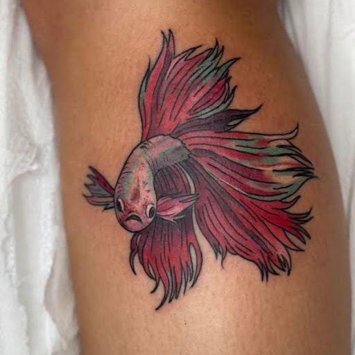 Tattoo Shop «Graceland Tattoo Inc», reviews and photos, 2648 E Main St, Wappingers Falls, NY 12590, USA