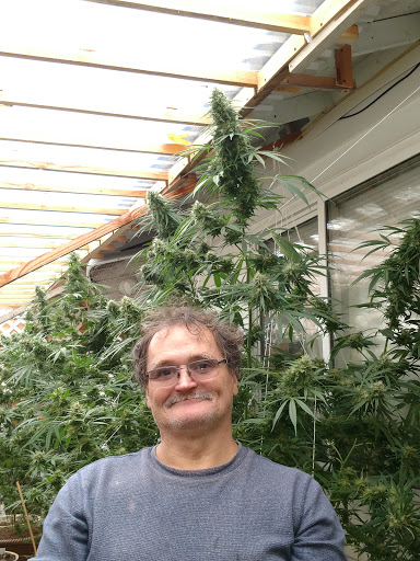 Grocery Store «Safeway», reviews and photos, 1540 Main St, Sweet Home, OR 97386, USA