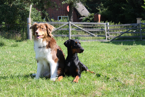 Tierarztpraxis Dorte Biedermann unter Bardowick, Niedersachsen