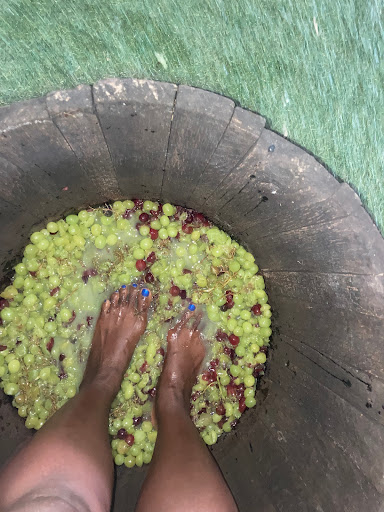 Winery «Four Sisters Winery», reviews and photos, 783 County Road 519, Belvidere, NJ 07823, USA