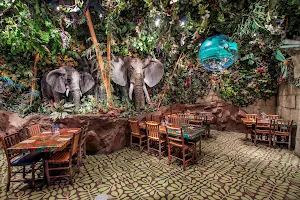 Rainforest Cafe image