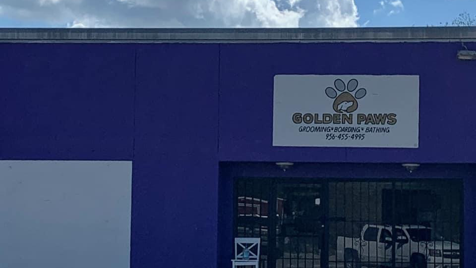 Golden Paws Grooming