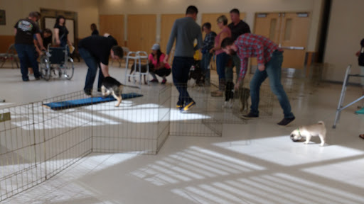 Animal Shelter «Oregon Humane Society», reviews and photos