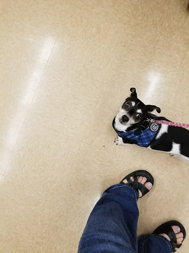 Pet Supply Store «Petco Animal Supplies», reviews and photos, 244 Pioneer Trail, Chaska, MN 55318, USA